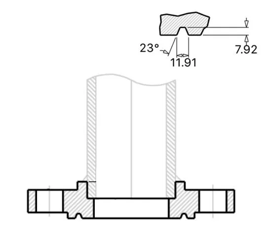 Stainless Flang Back Ring Flat Face Hydraulic Socket Weld Pipe Flanges